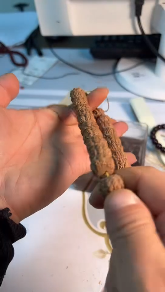 【闪购商品】金刚菩提手串定制饕餮手持