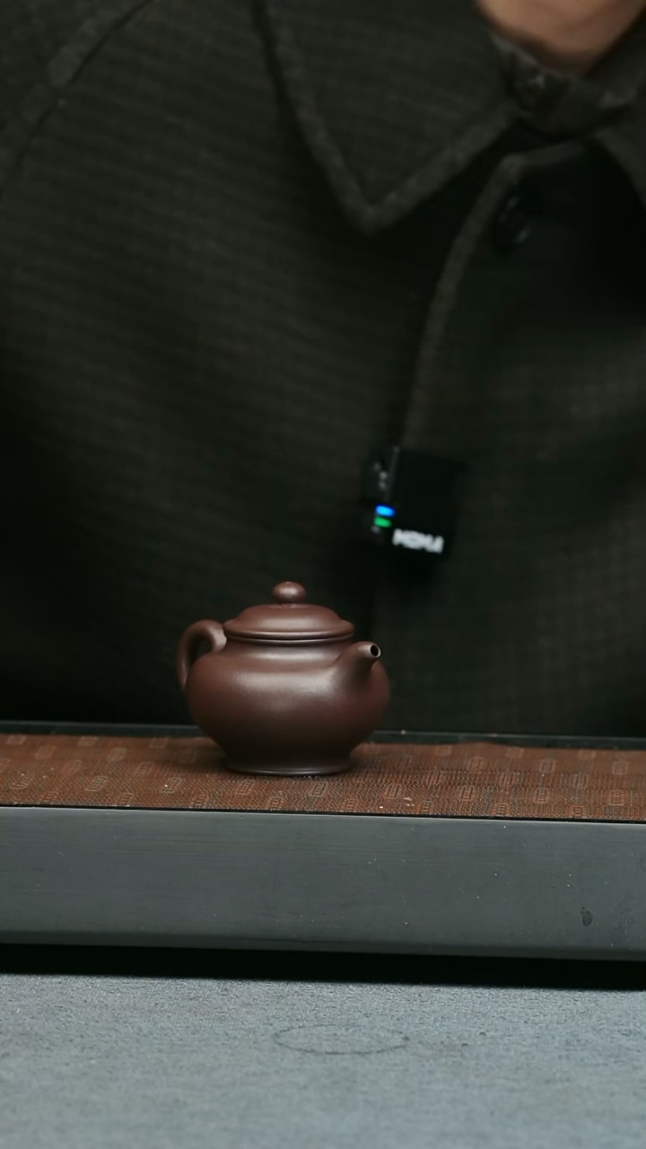 【闪购商品】紫砂茶壶五堂 掇只-许四海藏