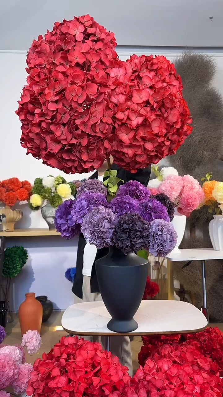 吸色永生大叶绣球3枝-红