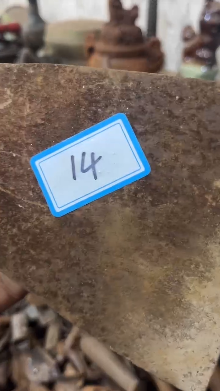 开**好隆江直播新人带货