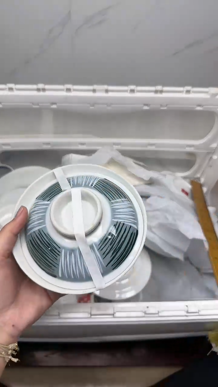 【闪购商品】5110回流瓷器默认微瑕，18.8包邮