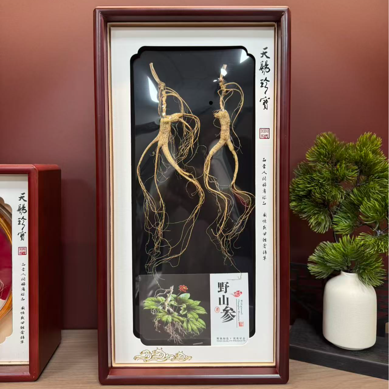 长白山野山参（福利品）天赐珍宝实木礼盒  百参百样 实物为准