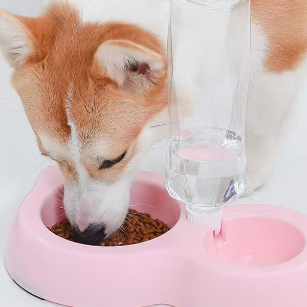 萌宠·宠物狗狗用品