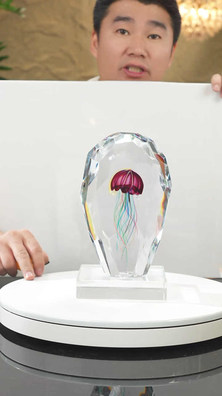 【闪购商品】摆件设计款切面水母摆件