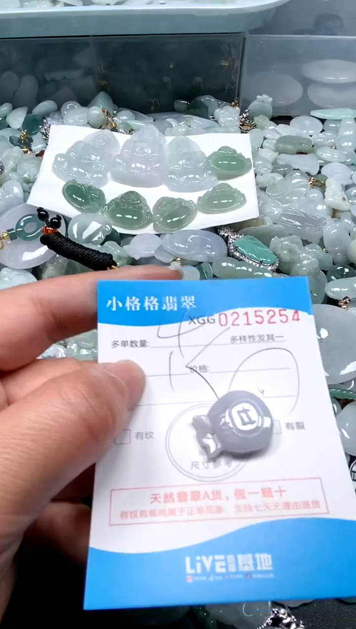 【闪购商品】翡翠颈饰未镶嵌闪购商品0215254多样性