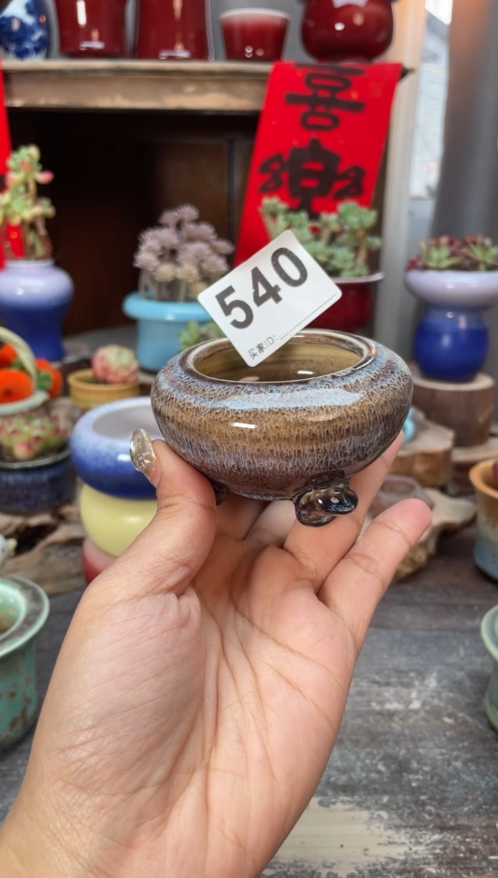 【闪购商品】摆件540知木小芳花盆