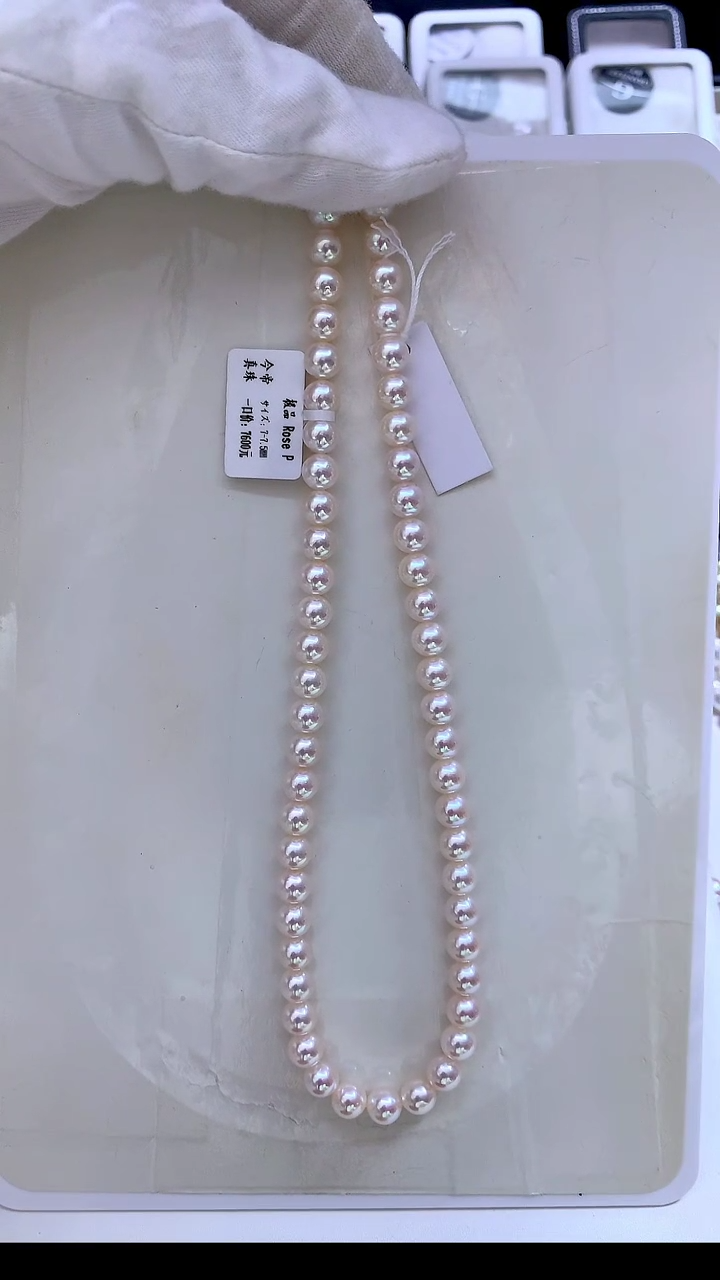 【闪购商品】海水珍珠颈饰未镶嵌ROSEP7-7.5MM