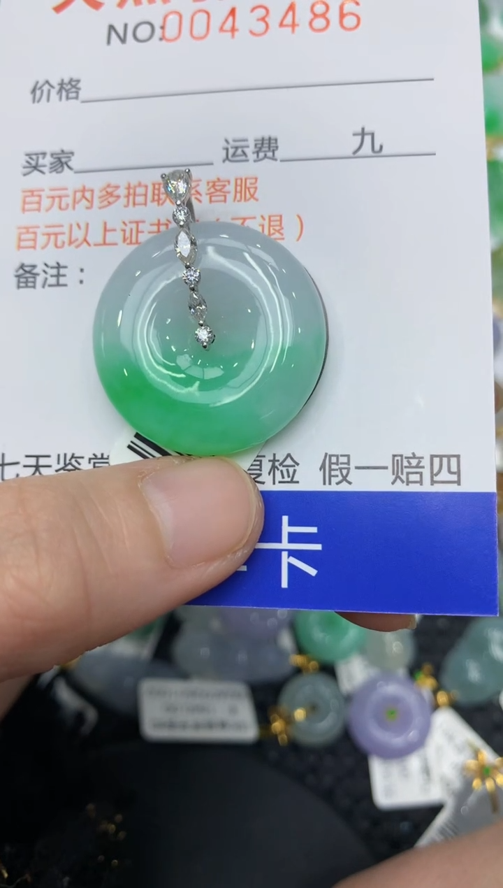 【闪购商品】翡翠颈饰18K金镶嵌111111111