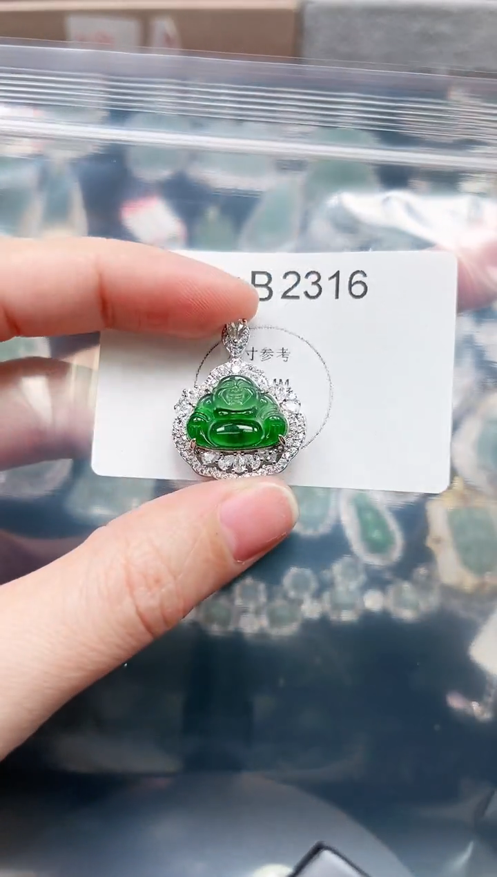 【闪购商品】翡翠颈饰未镶嵌赠皮绳2316