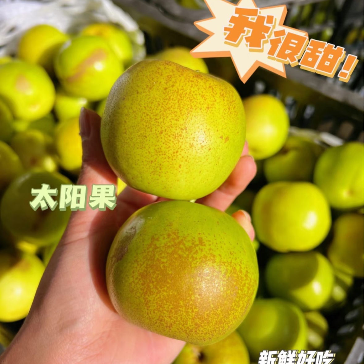 云南西双版纳苹果枣 雀斑太阳果 脆甜多汁 3/9斤 川渝包邮