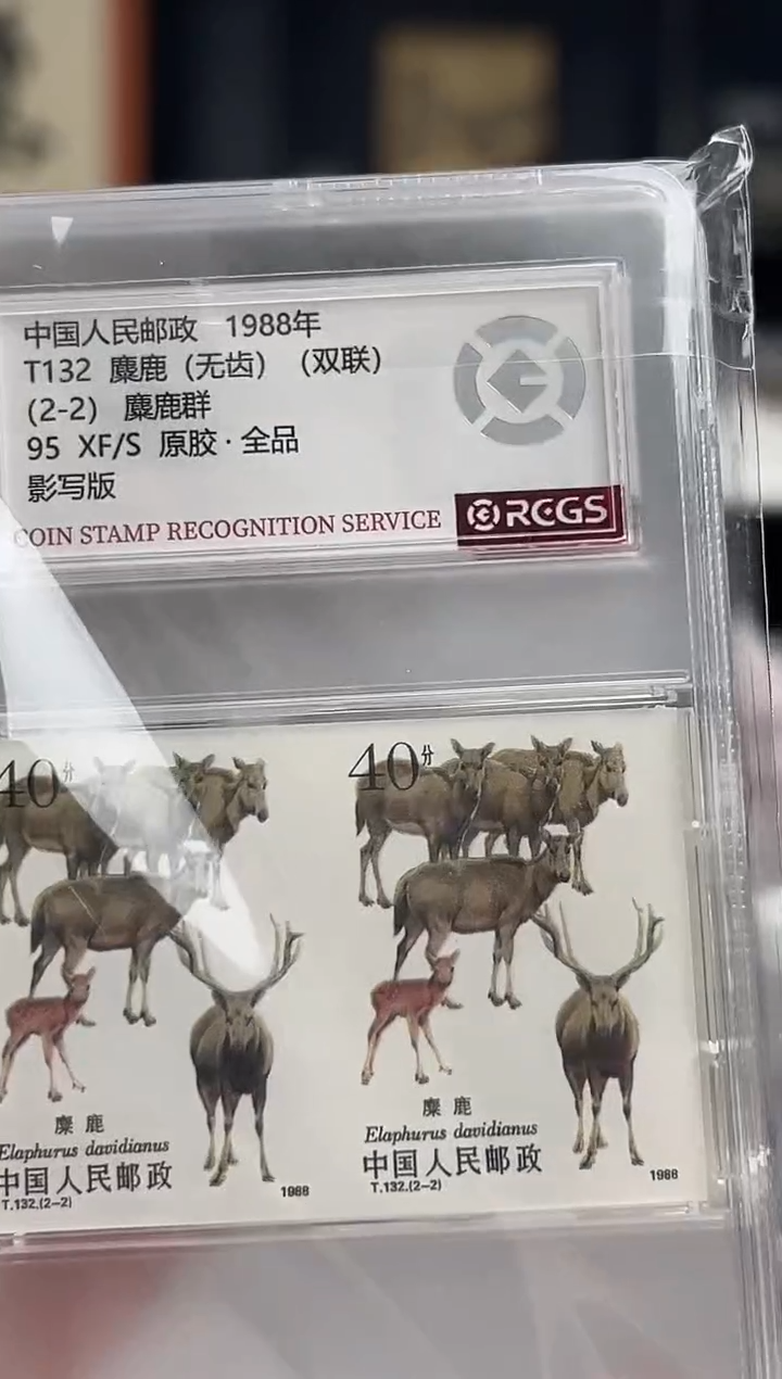 【闪购商品】T132 麋鹿（无齿）双联 原胶·全品