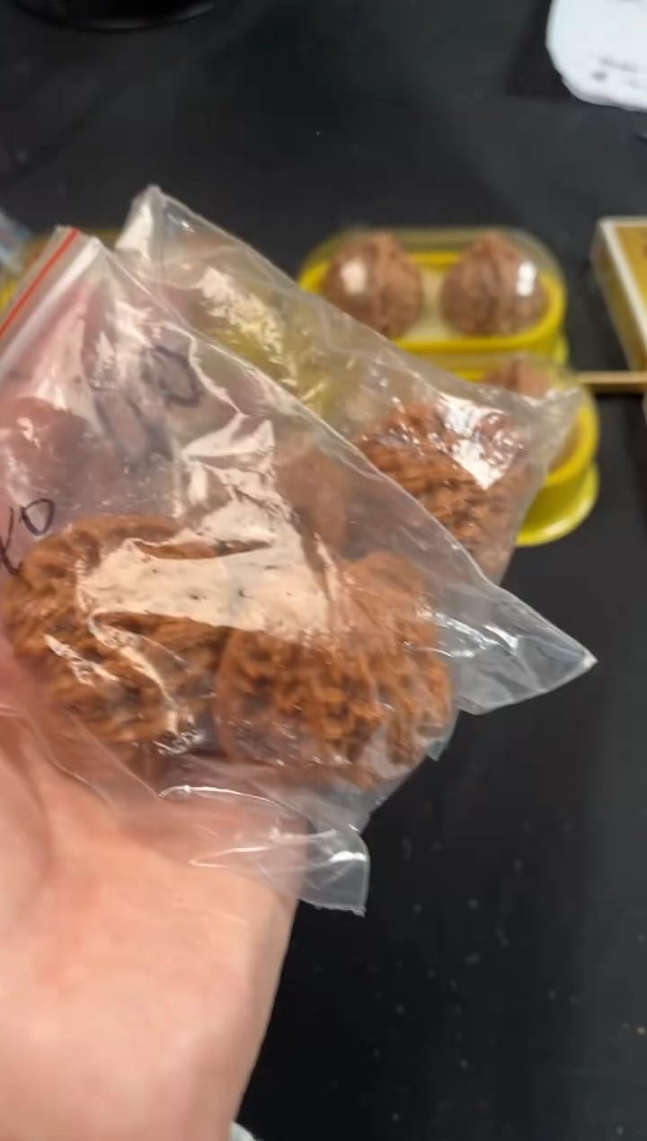 把件文玩核桃磨盘40尺随机发