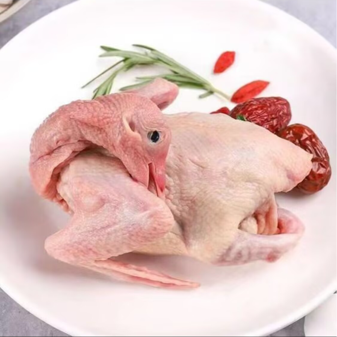 鸽子及鸽子肉生鲜直播间挑选