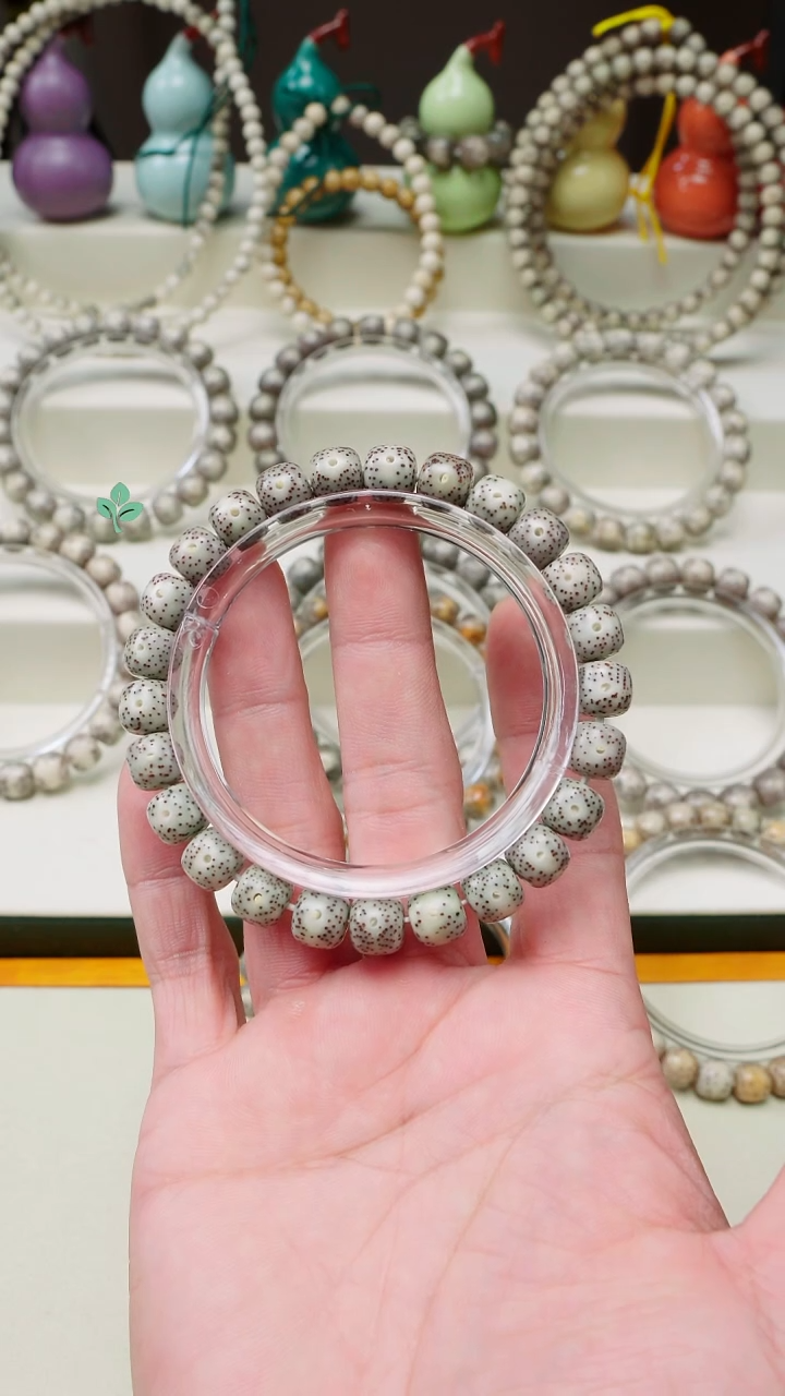 手串星月菩提海南星月菩提一物一图