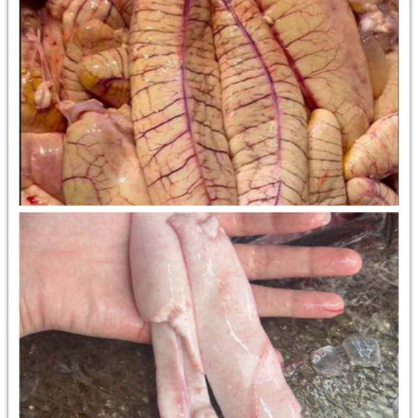 新鲜【鳘鱼杂】鱼籽和鱼白各1斤真空包装顺丰批发包邮