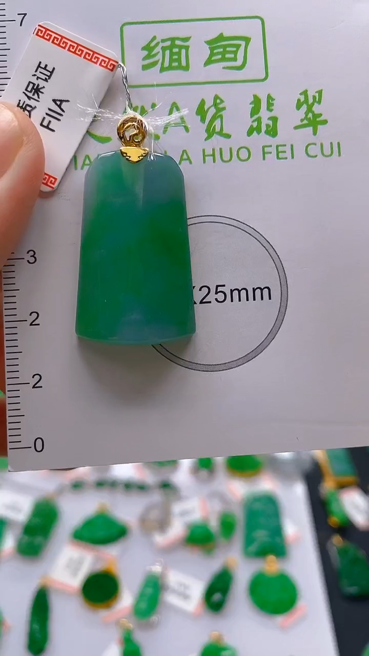 【闪购商品】翡翠颈饰18K金镶嵌 新号开播，全场乱卖