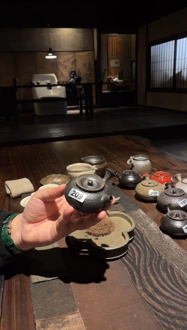 【闪购商品】0侧把壶............209