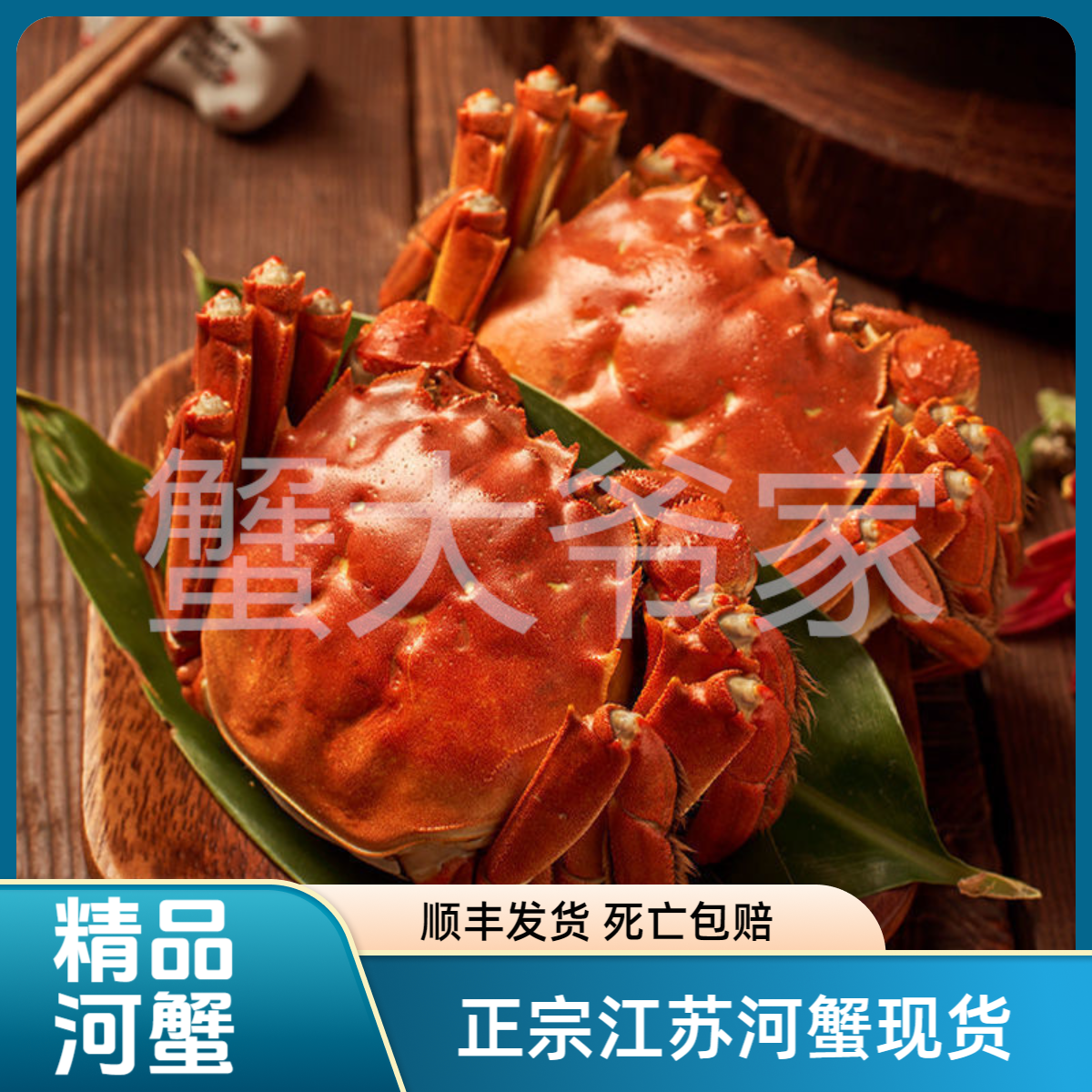 【活蟹】精品河蟹2.7-3.1两8只装起精挑江苏鲜活清水蟹公蟹顺丰发