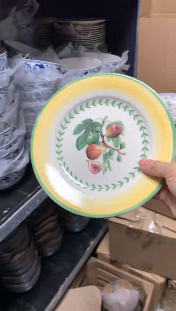 【闪购商品】瓷片陶瓷原单CC655餐具1个8寸