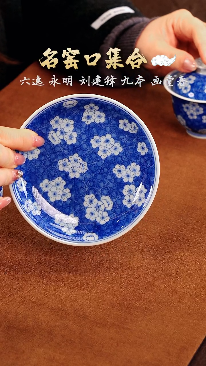 【闪购商品】瓷片·········