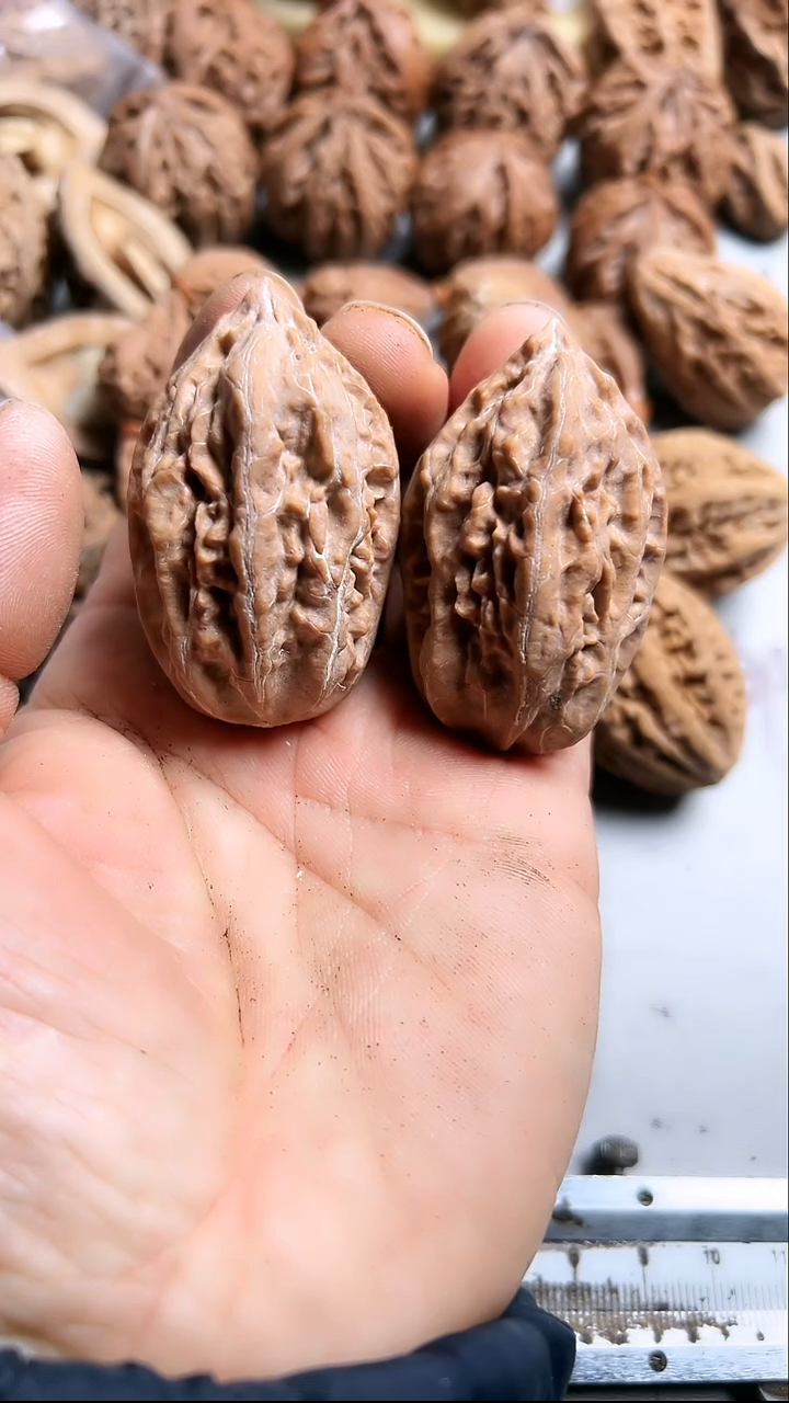 核桃东北野生大秋子2