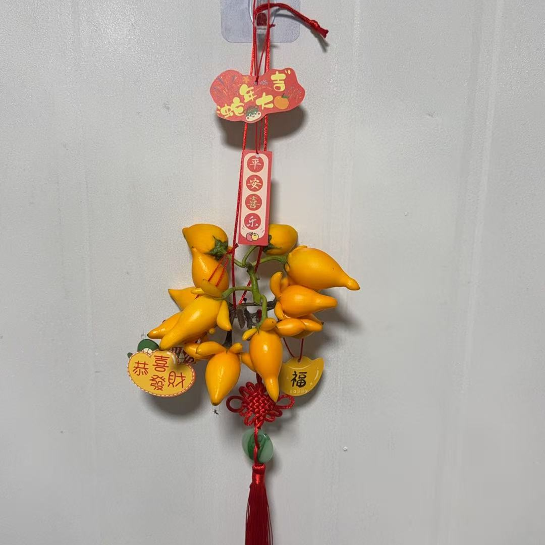 五代果 中国结挂串 鲜切家居花材黄金果【轻微掉果不售后】