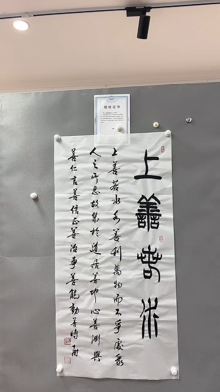 【闪购商品】书法雅艺典藏文化书法
