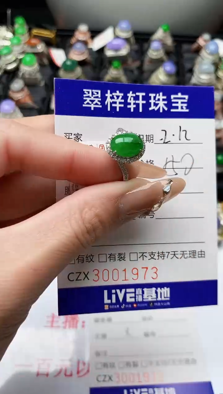 【闪购商品】翡翠戒指银S925镶嵌/1973