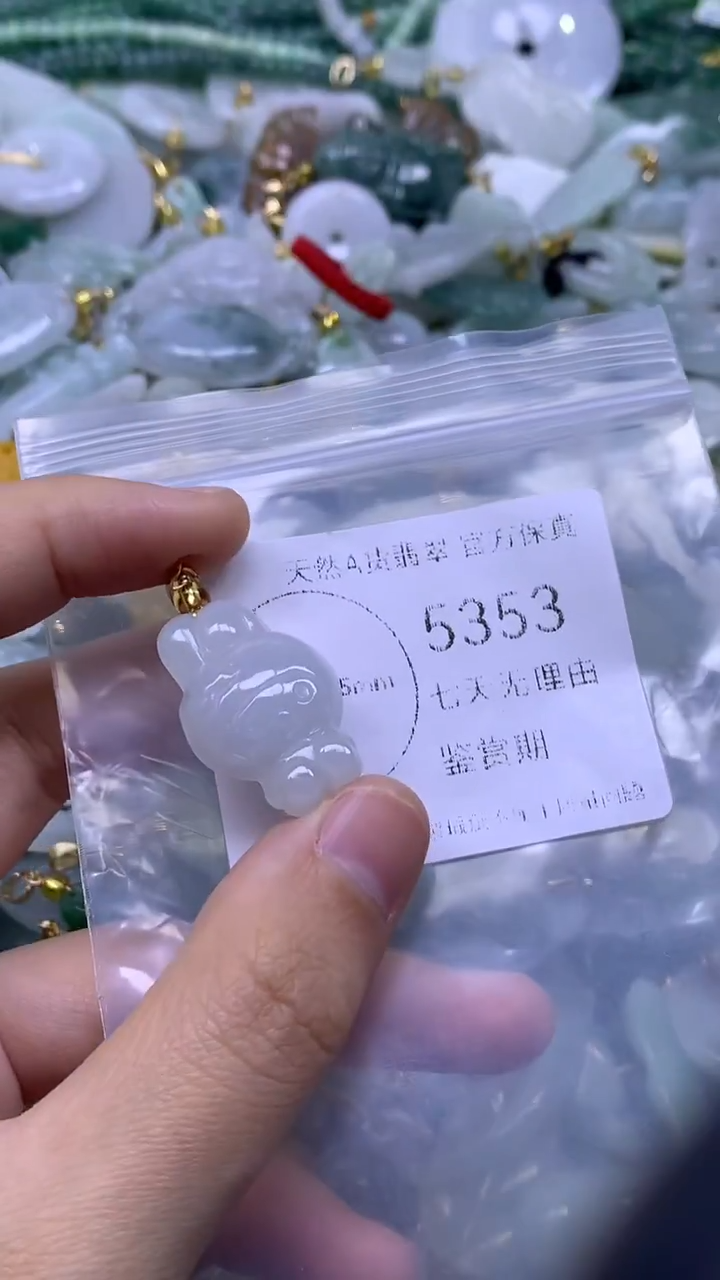 颈饰未镶嵌翡翠1