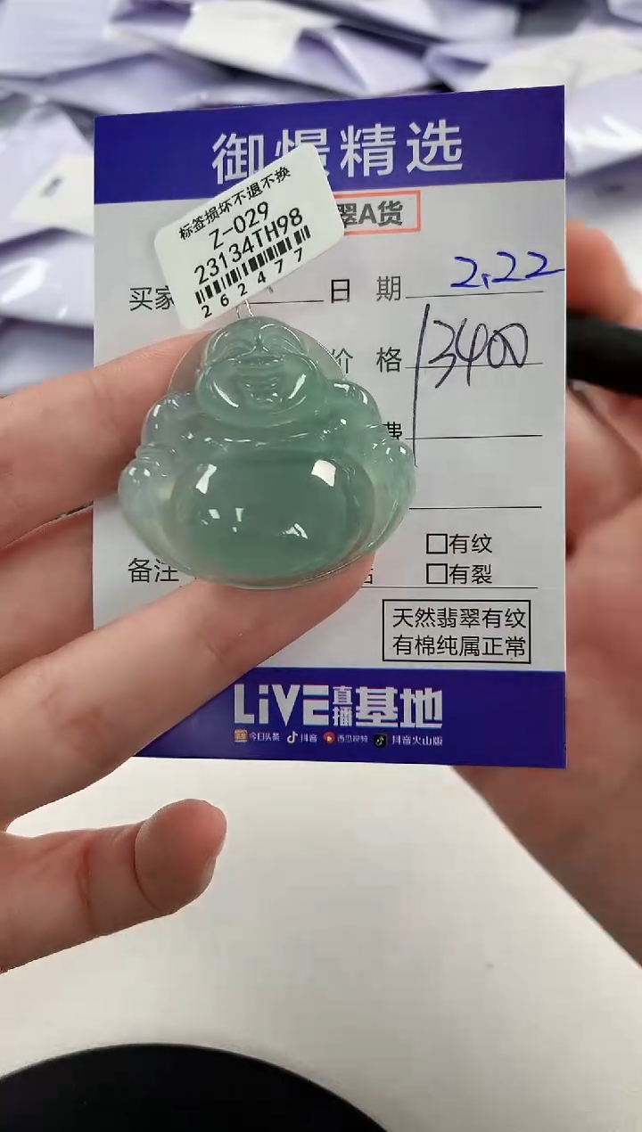 【闪购商品】翡翠颈饰未镶嵌70         