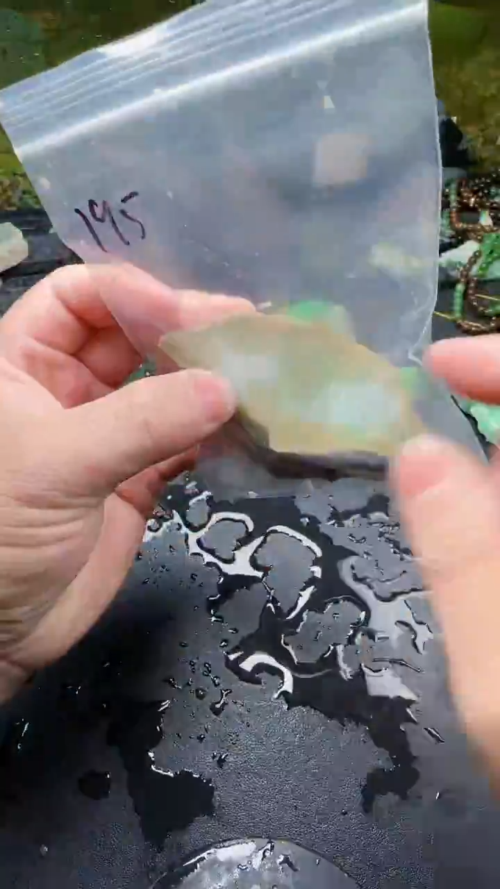 【闪购商品】翡翠颈饰未镶嵌195天然翡翠