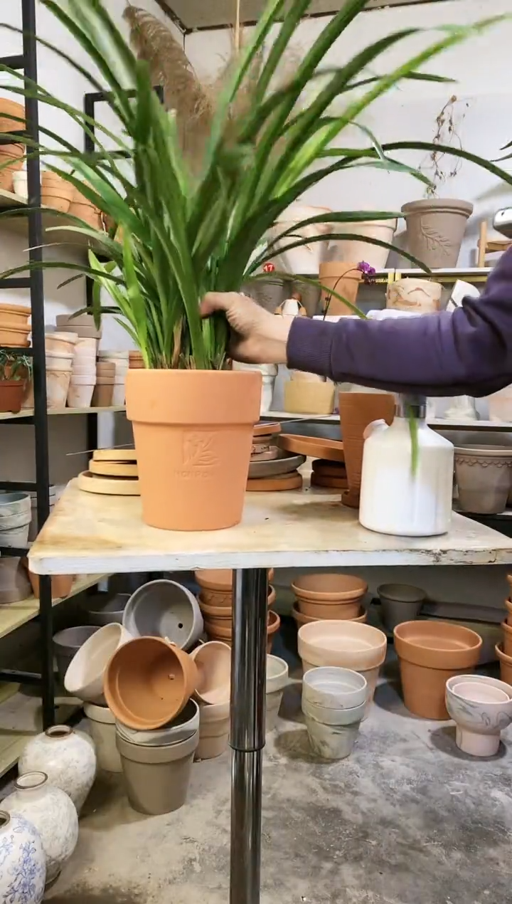 【闪购商品】陶18*21红陶浮雕反比例 1盆无托