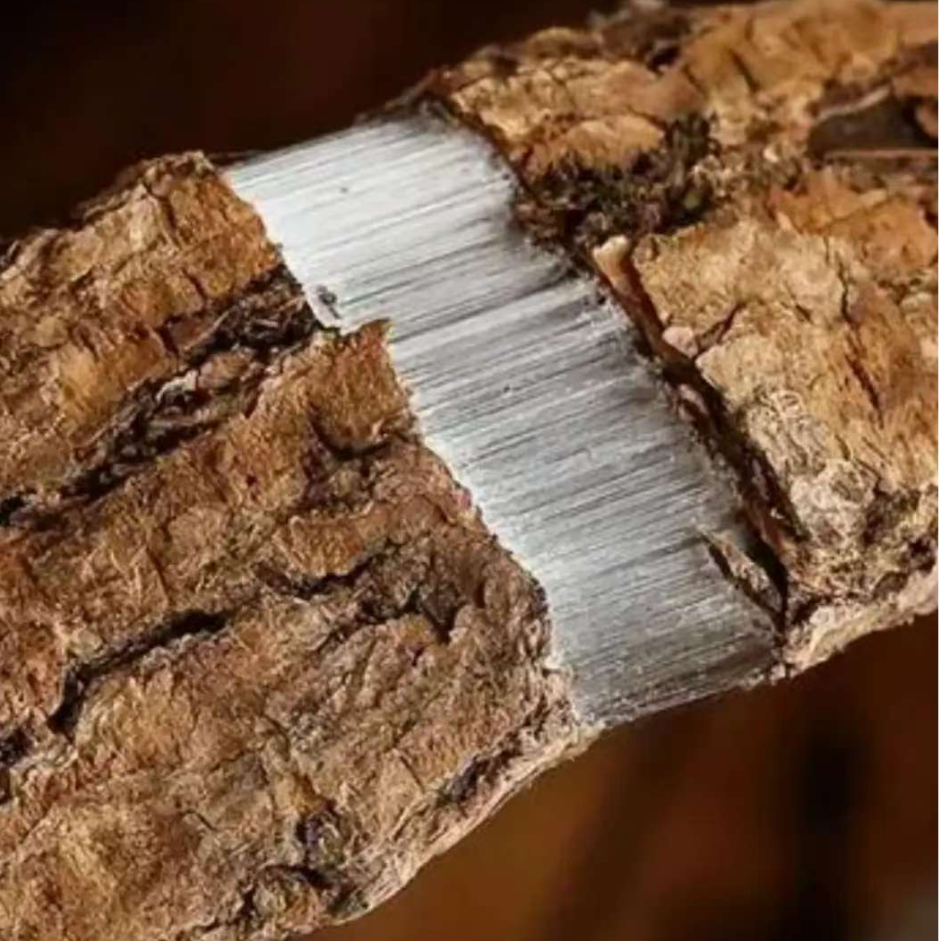 老杨自然阴干大山杜仲皮500g