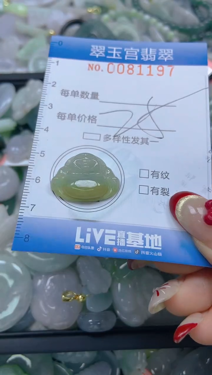 【闪购商品】翡翠颈饰未镶嵌闪购0081197