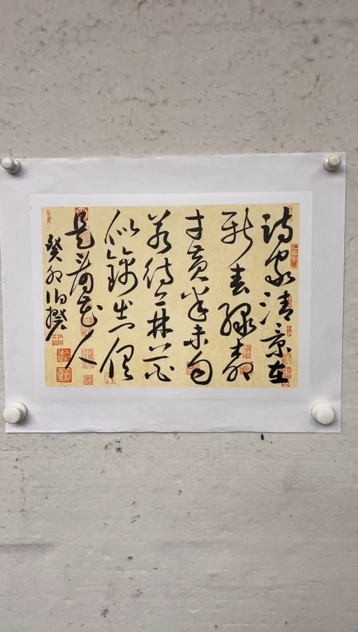 书法伯揆书法原作作品 一平尺软片