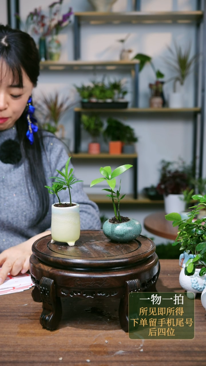 【闪购商品】109---8867黄绿组合