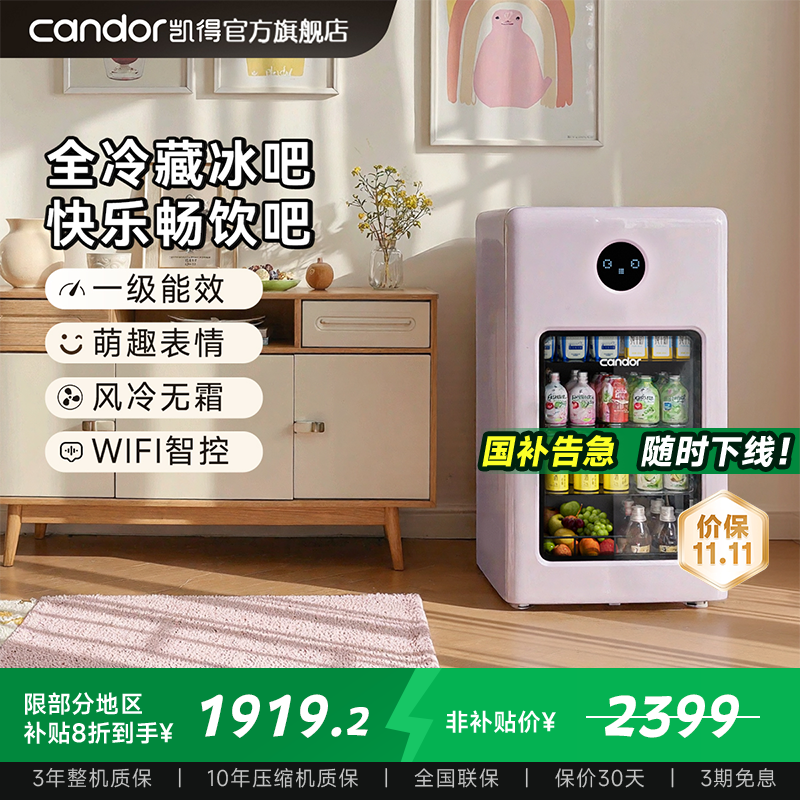 凯得冰吧家用客厅饮料冷藏柜办公室高颜值迷你小型冰箱风冷无霜