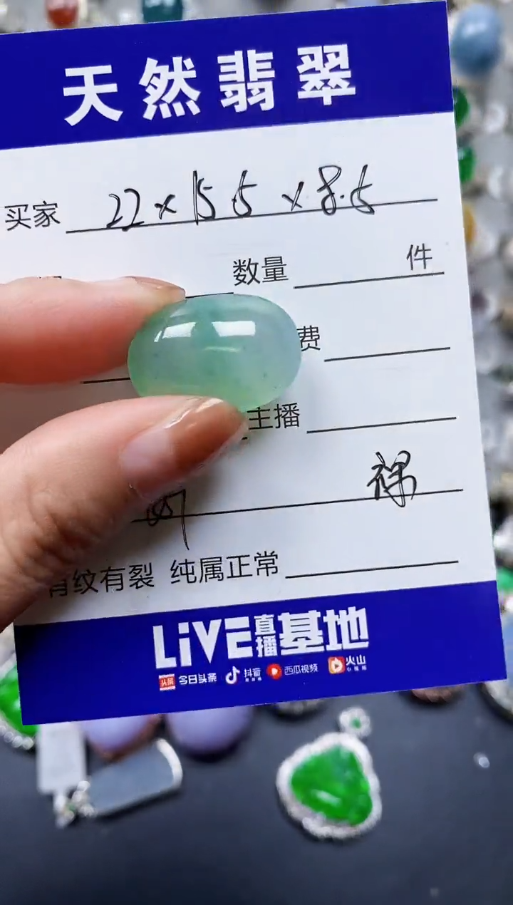 【闪购商品】翡翠颈饰未镶嵌00000481
