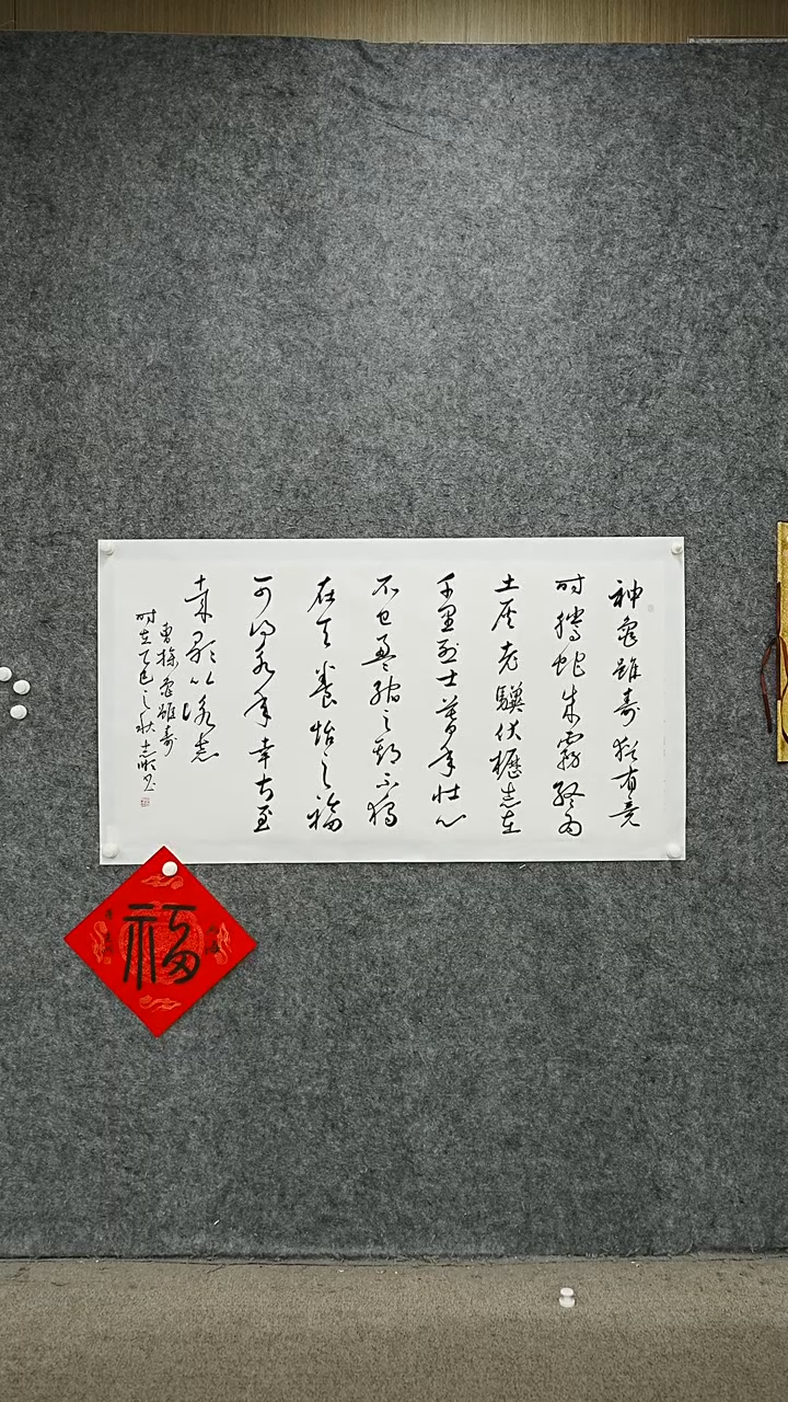 书法书法LZS老师作品