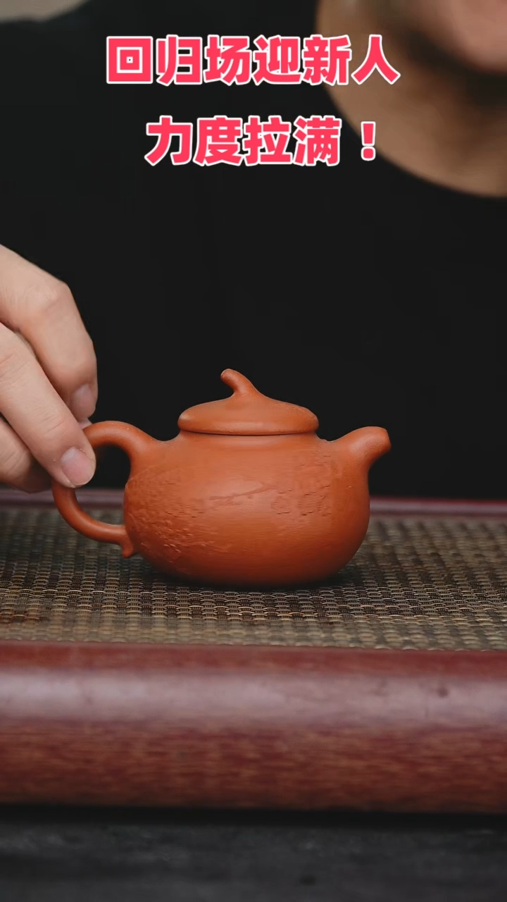 【闪购商品】紫砂茶壶紫砂茶壶