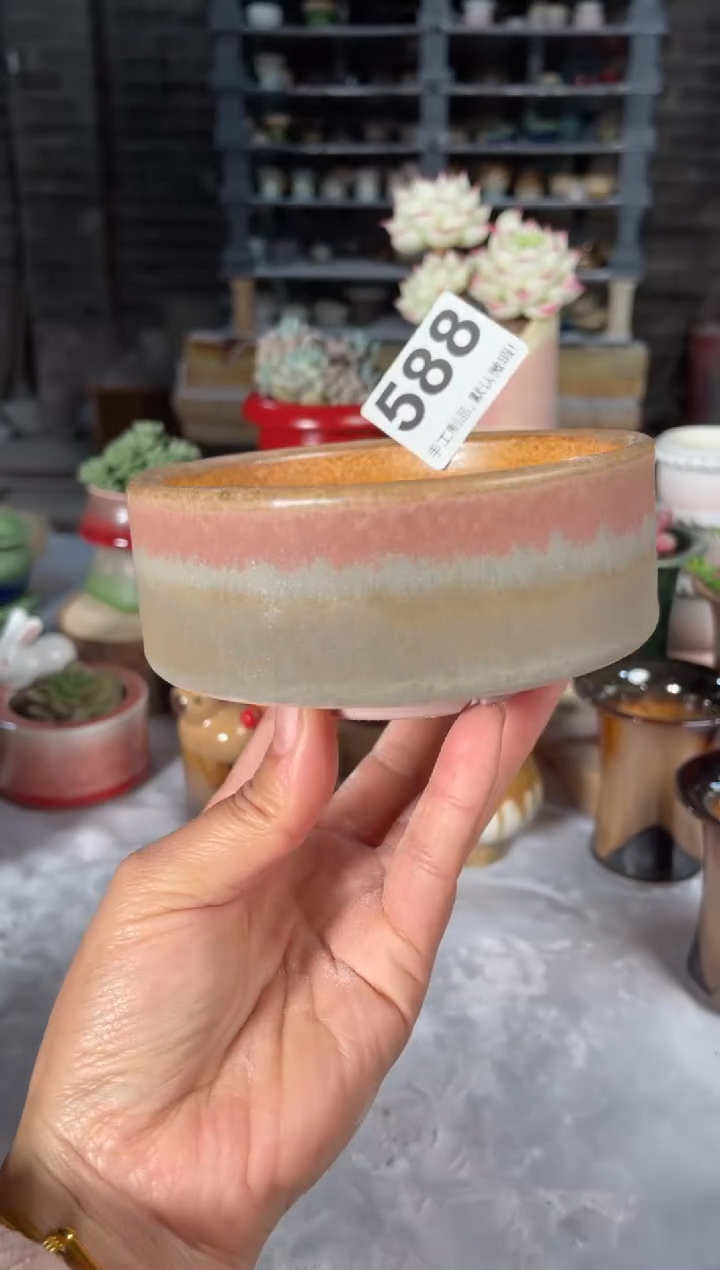 瓷片588小芳直播编号