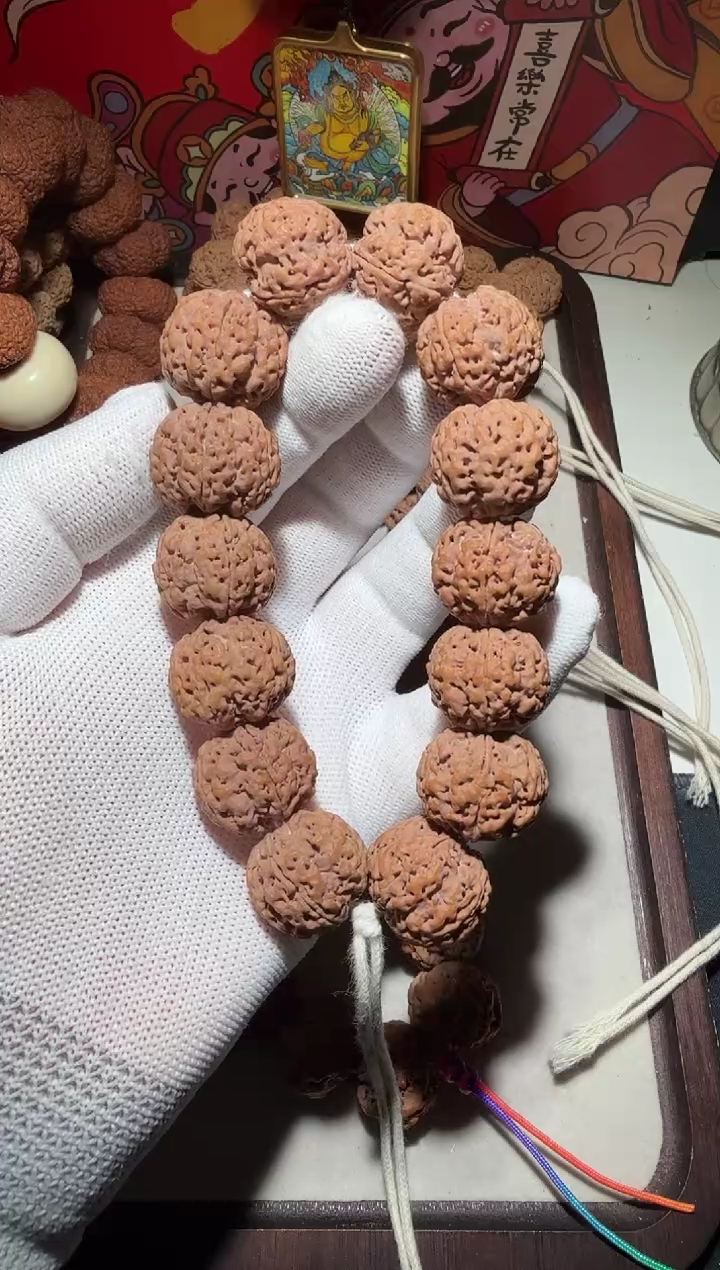 【闪购商品】金刚菩提手串超头针孔满肉五星蜂王21