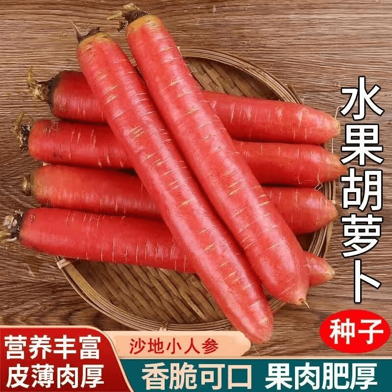 【全店满5包包邮】水果胡萝卜种子四季播种红萝卜种籽甜脆红胡萝