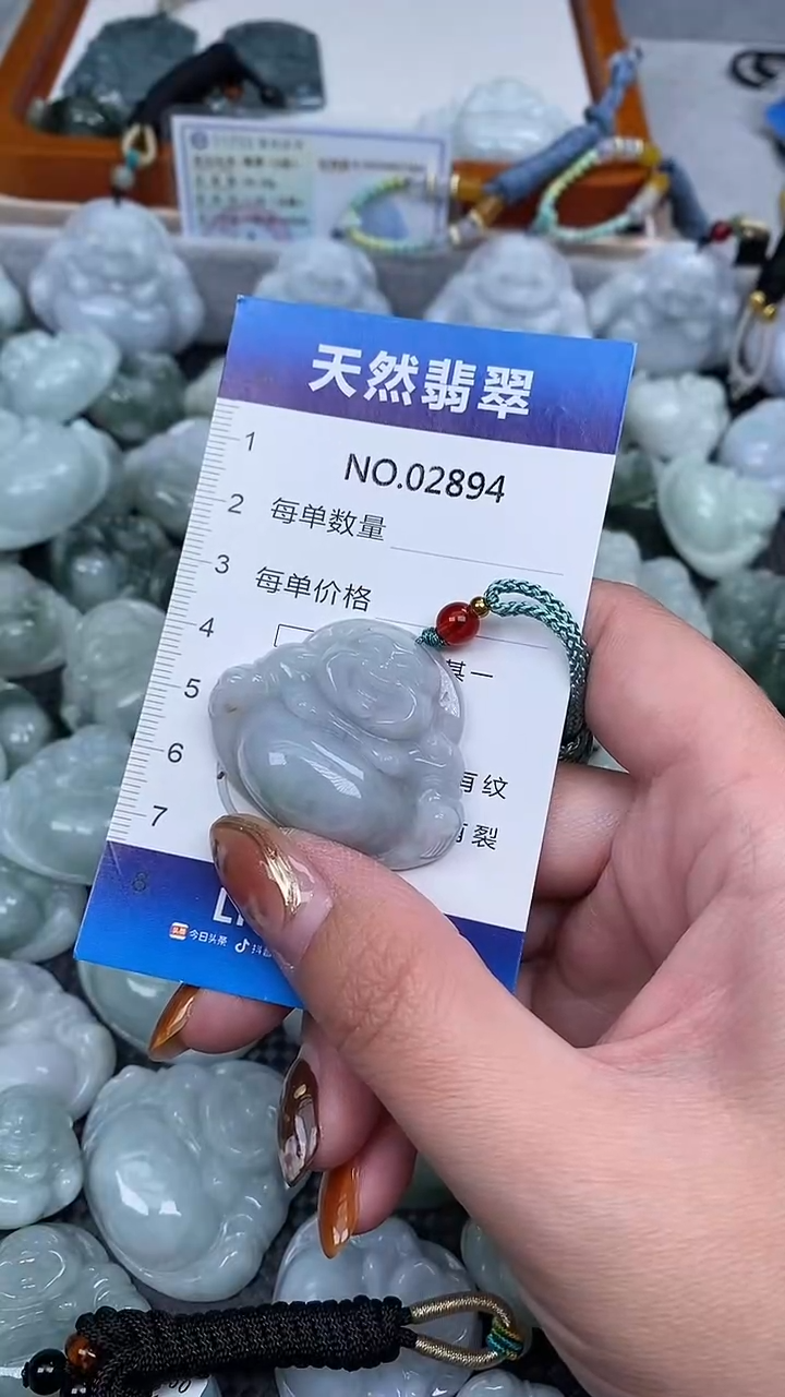 颈饰未镶嵌翡翠纯天然A货翡翠2894