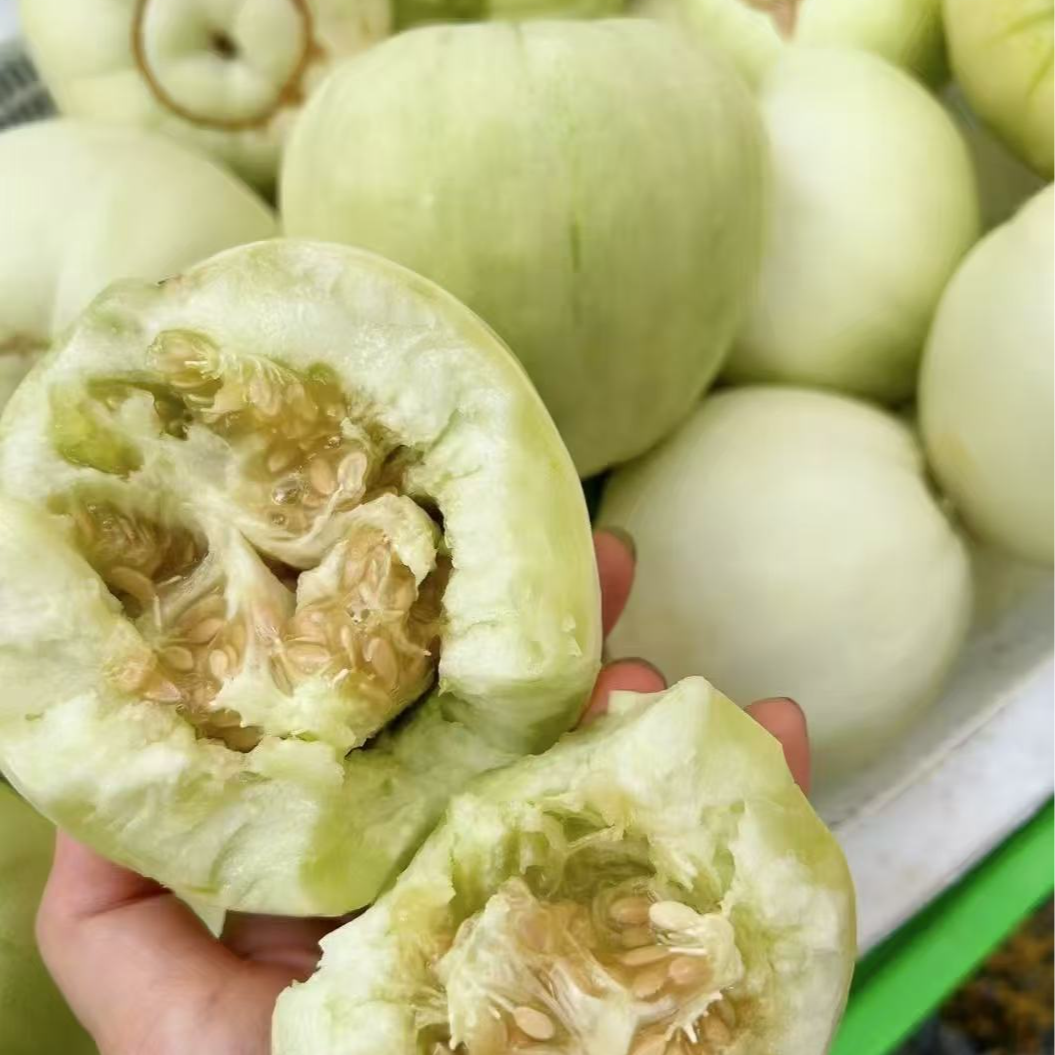 常熟本地现采现发小香瓜（1500G））