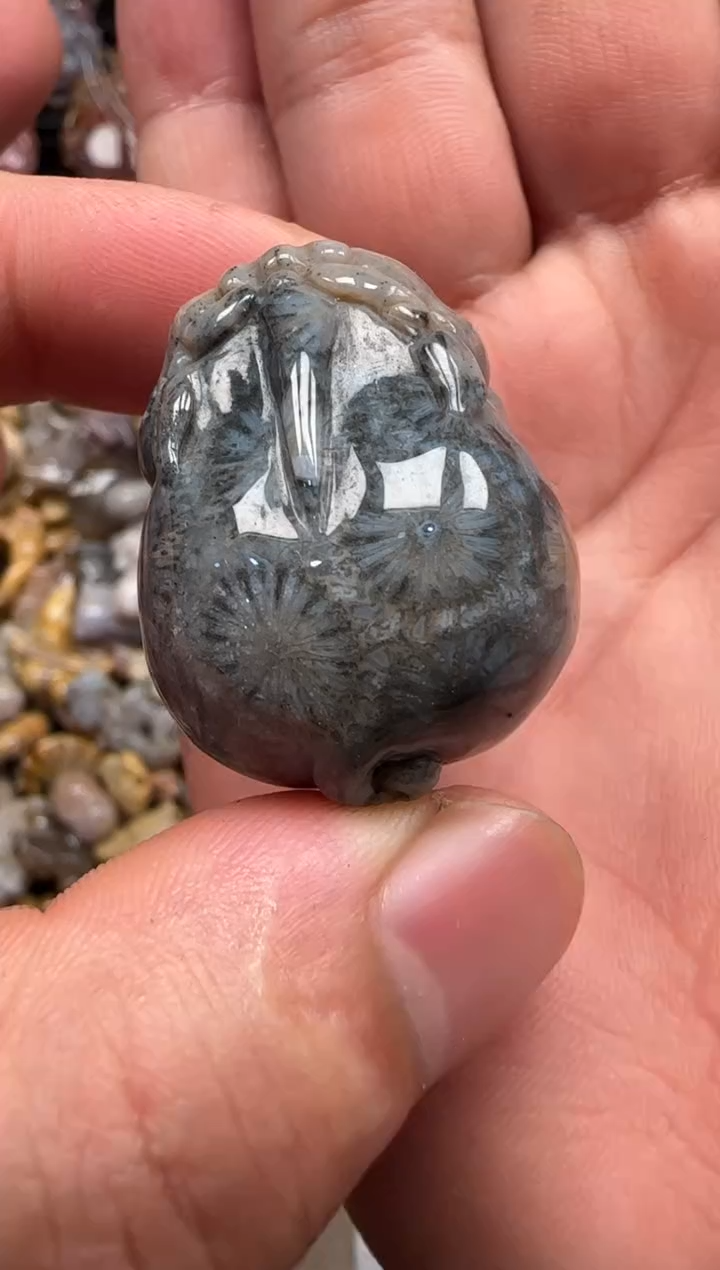 【闪购商品】硅化珊瑚（珊瑚玉）颈饰未镶嵌646