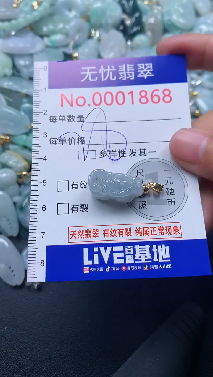 颈饰未镶嵌翡翠1868