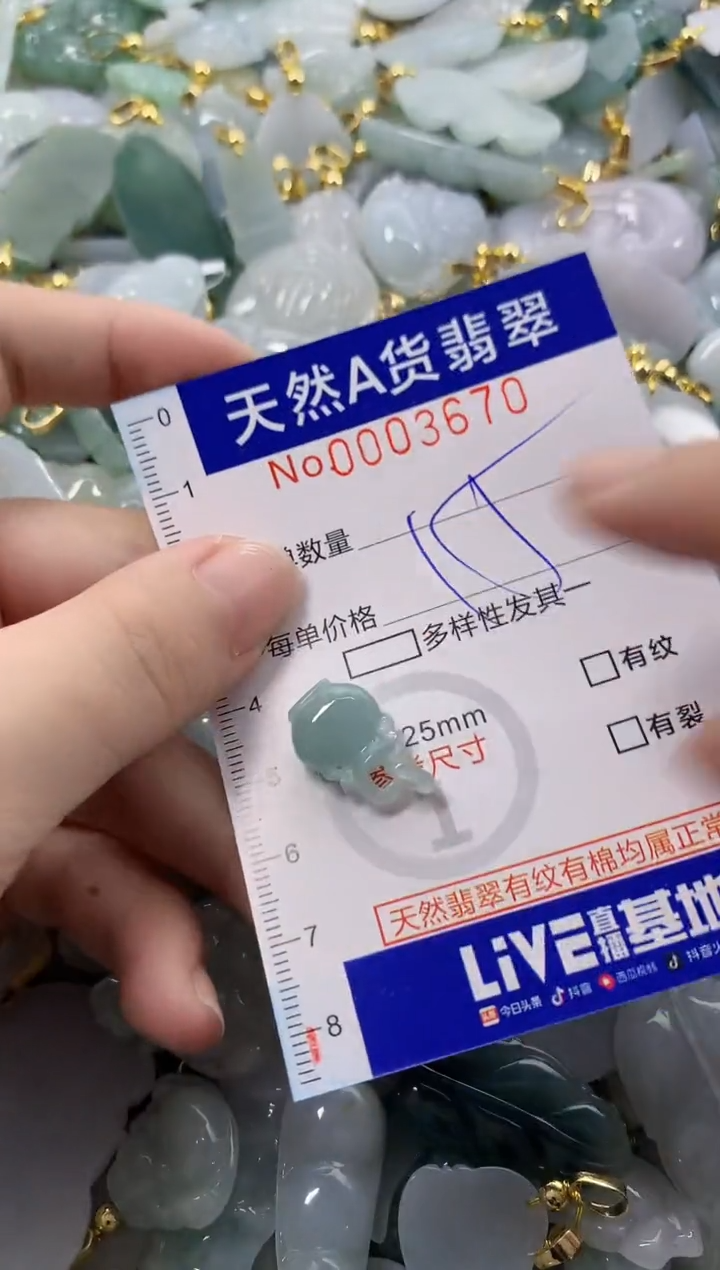 颈饰未镶嵌翡翠天然A货翡翠