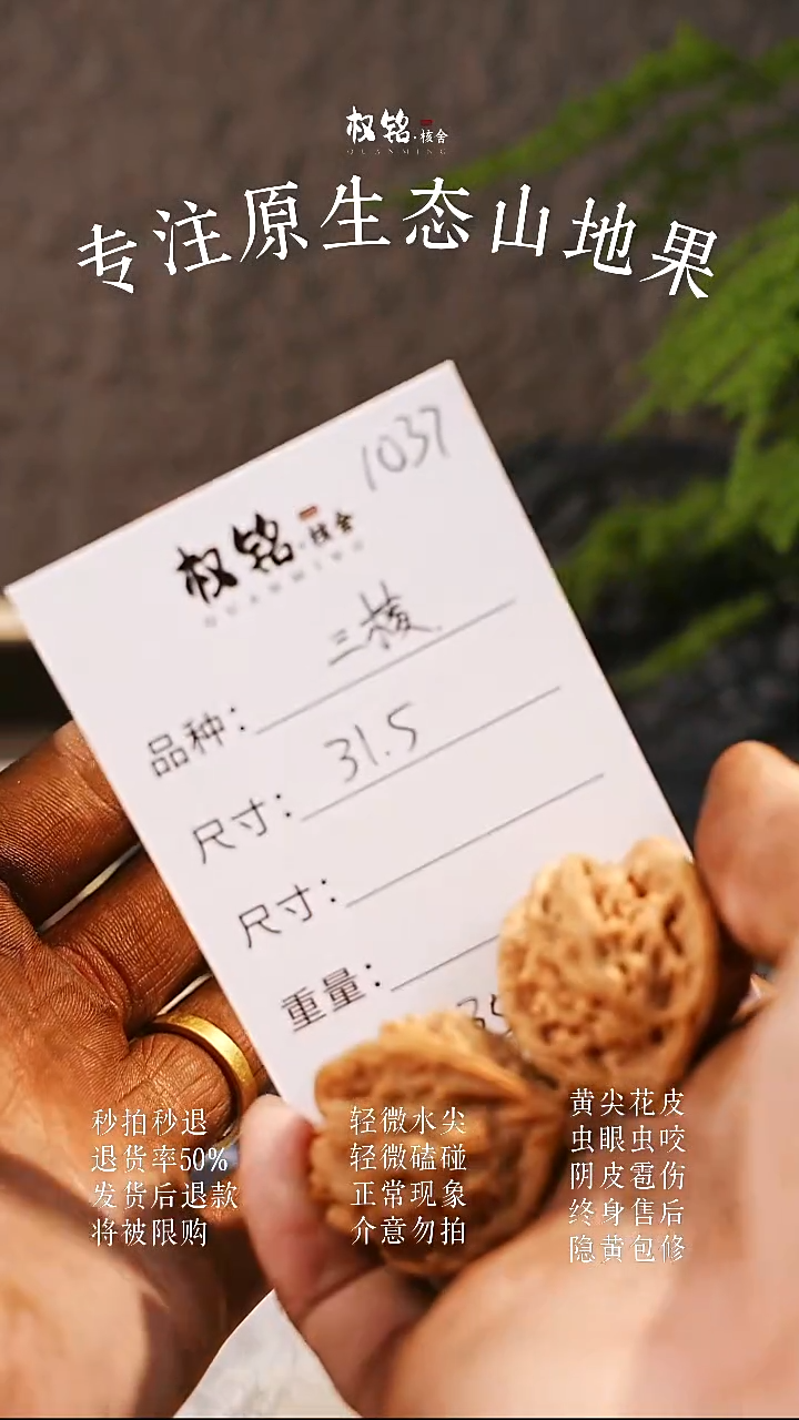 把件文玩核桃31.5三棱1037