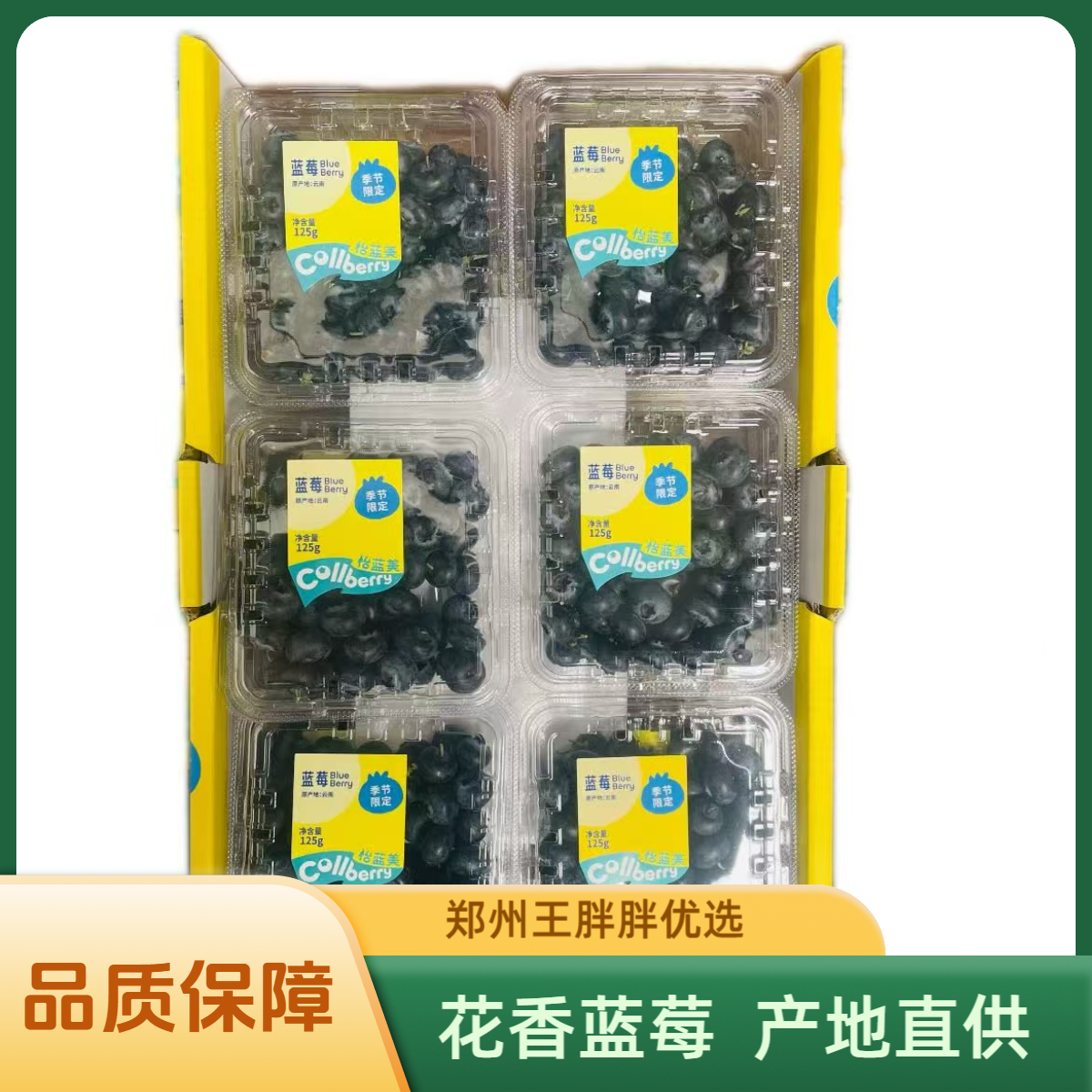 【花香蓝莓】怡蓝美鲜蓝莓       花香浓郁  单盒125g